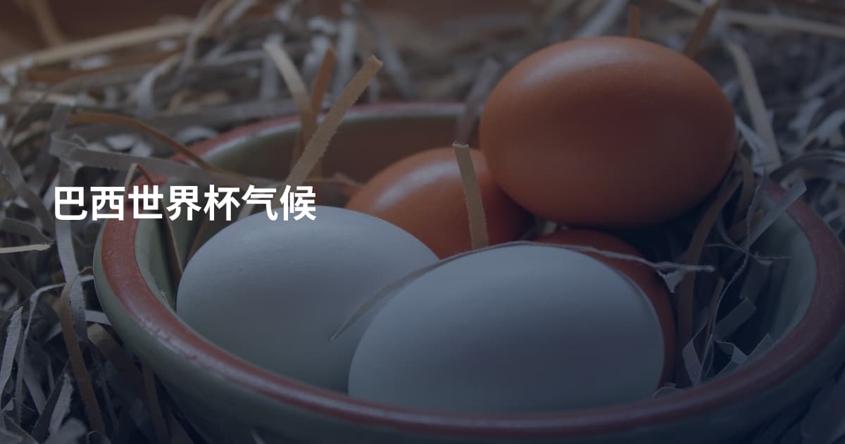 巴西世界杯气候
