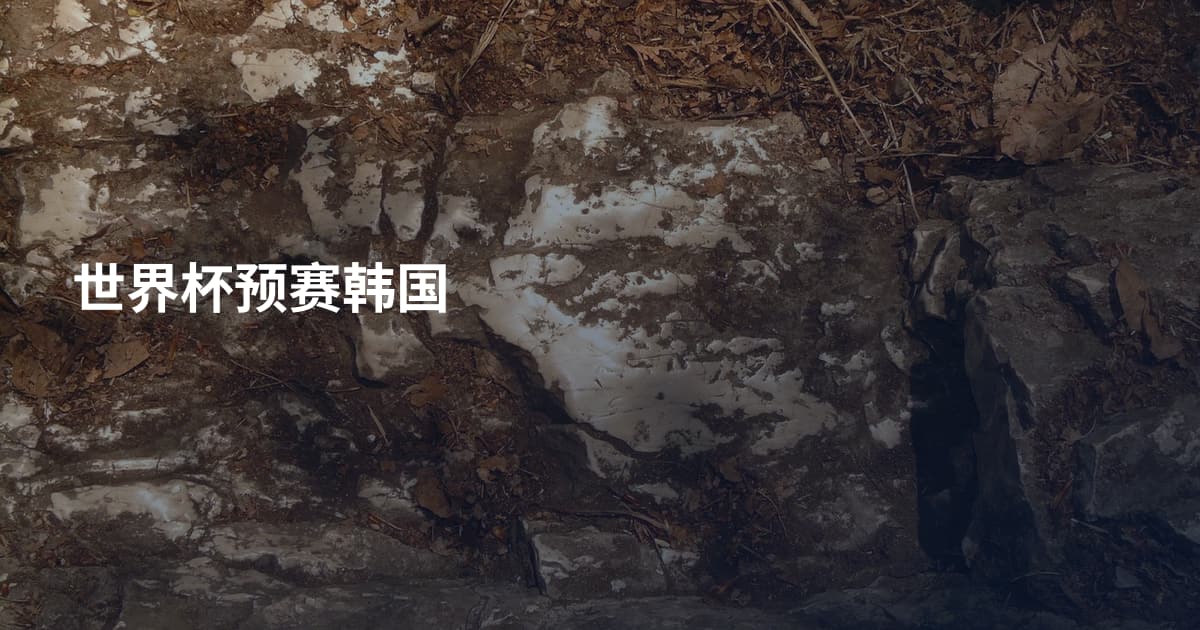 世界杯预赛韩国