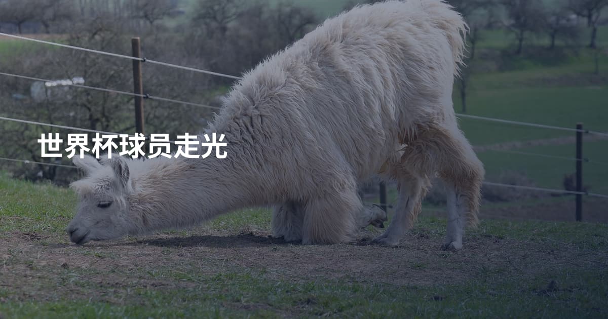 世界杯球员走光