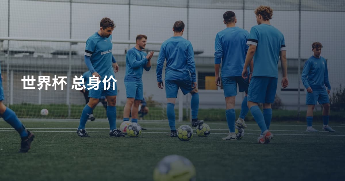 世界杯 总身价