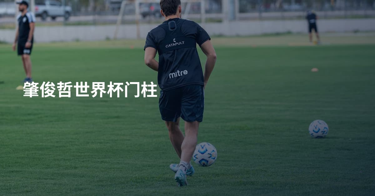 肇俊哲世界杯门柱
