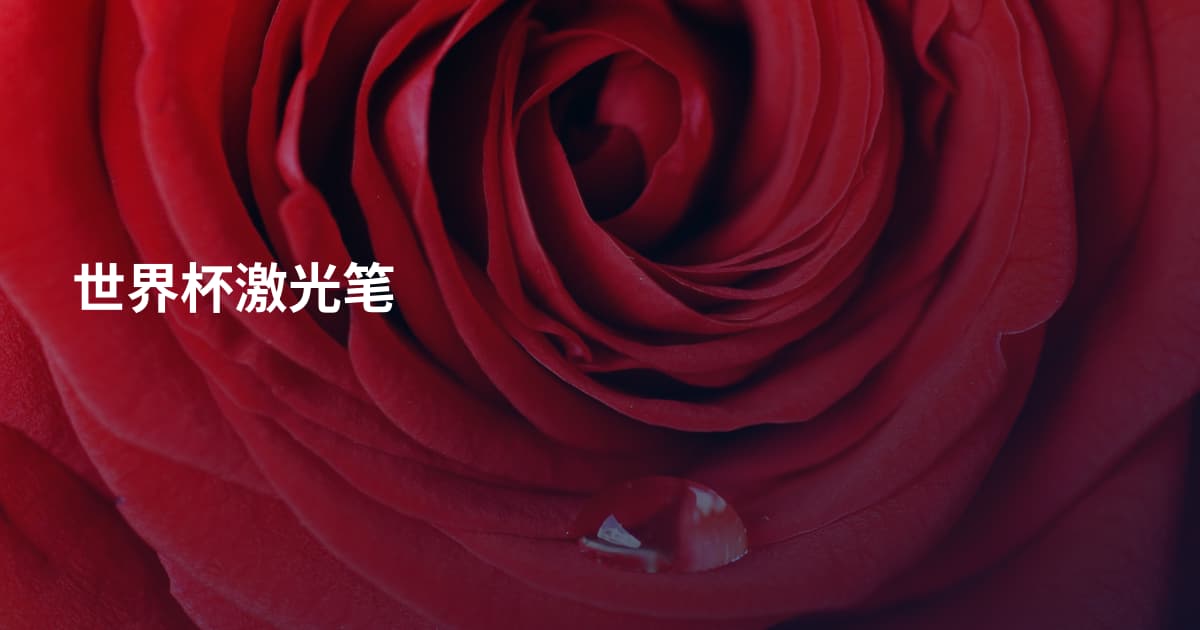 世界杯激光笔