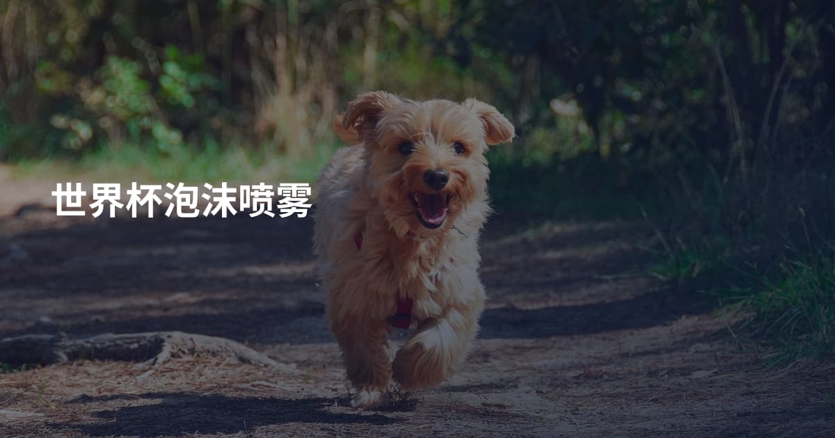 世界杯泡沫喷雾