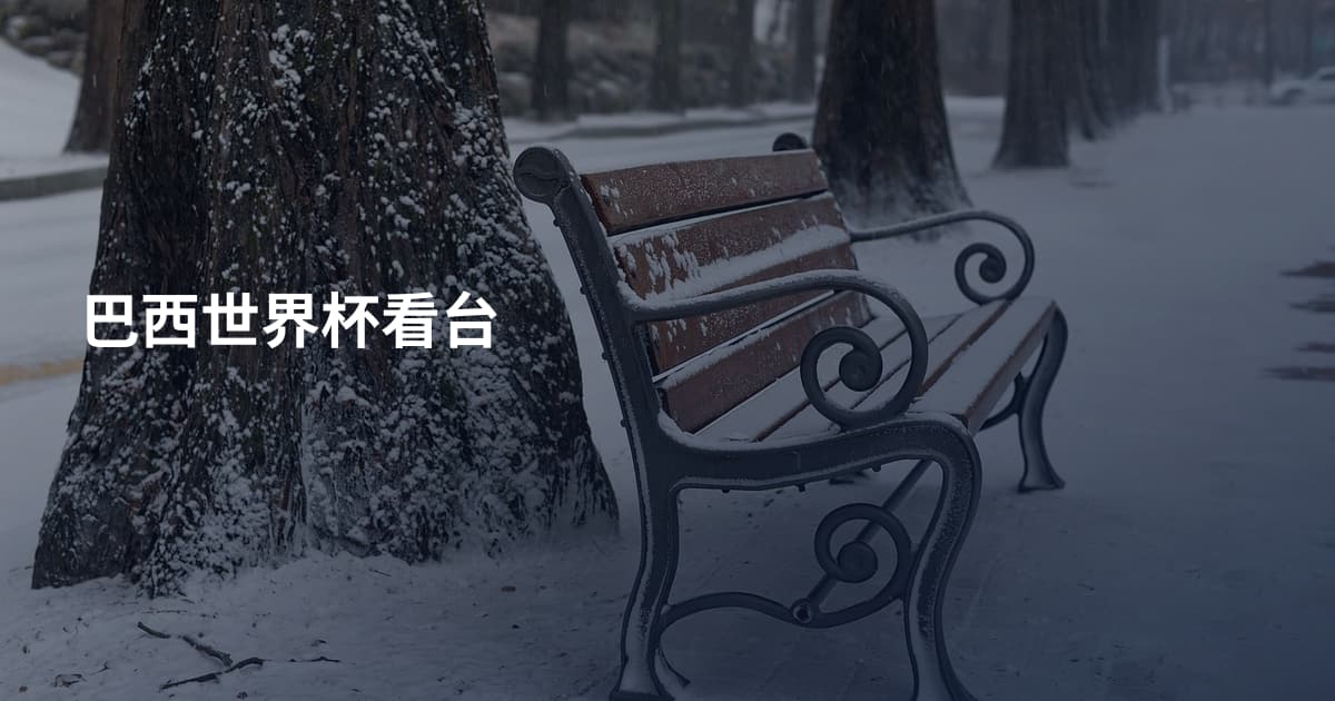巴西世界杯看台