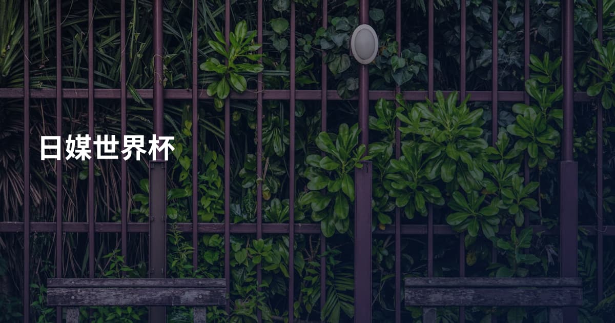 日媒世界杯