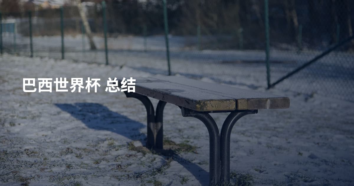 巴西世界杯 总结