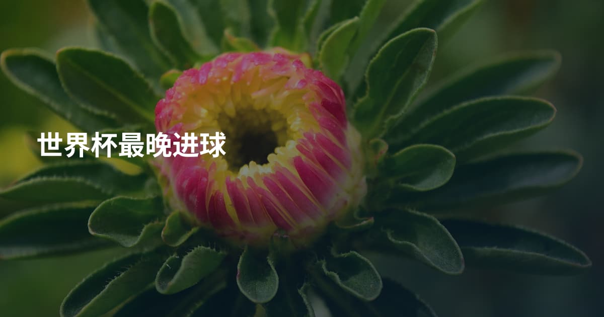 世界杯最晚进球