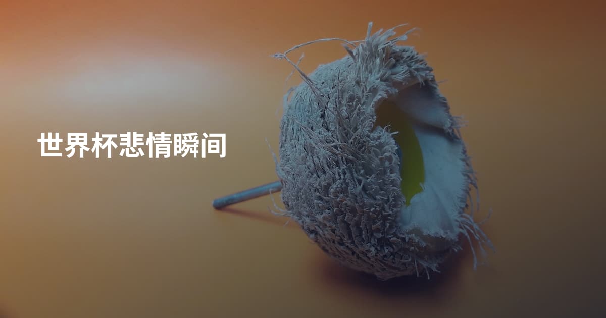 世界杯悲情瞬间