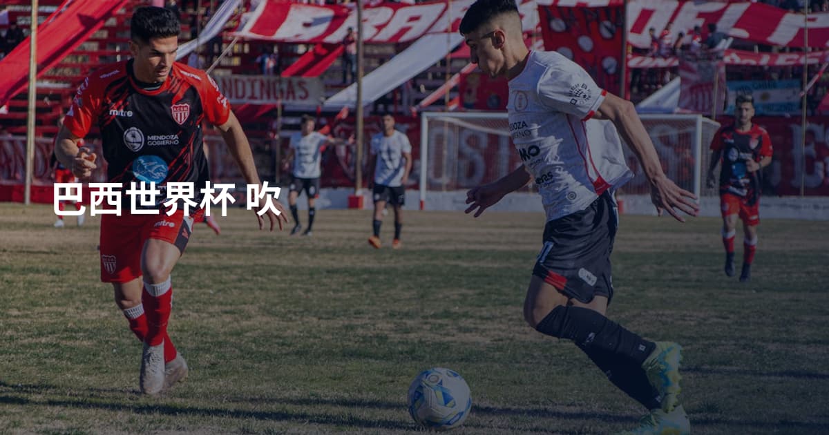 巴西世界杯 吹