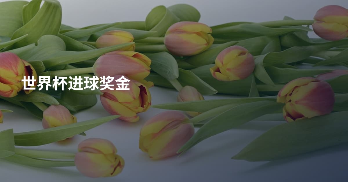 世界杯进球奖金