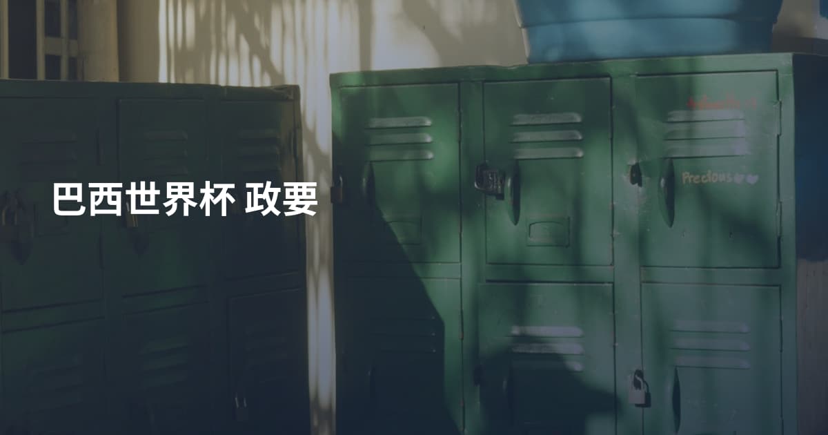 巴西世界杯 政要