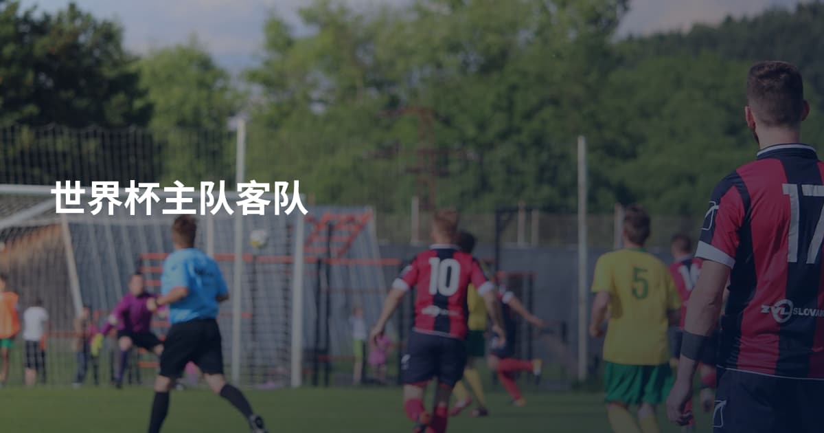世界杯主队客队