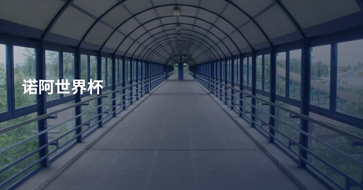 诺阿世界杯