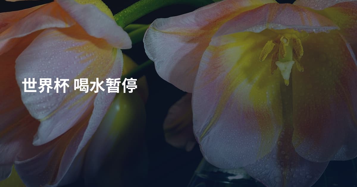 世界杯 喝水暂停