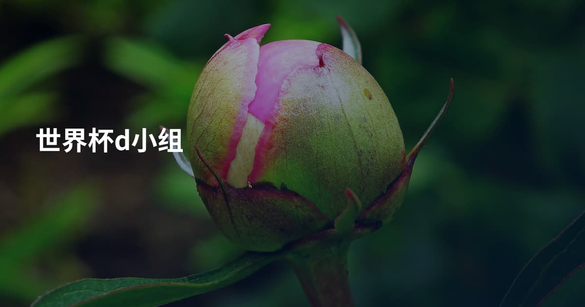 世界杯d小组