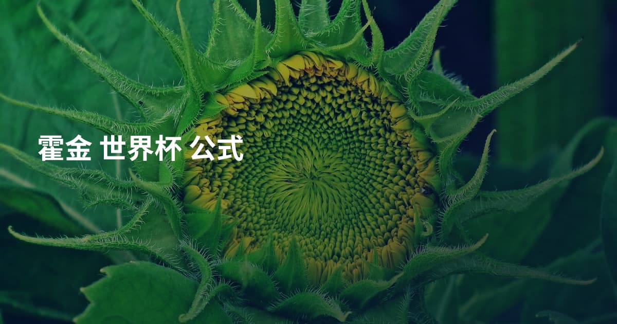 霍金 世界杯 公式