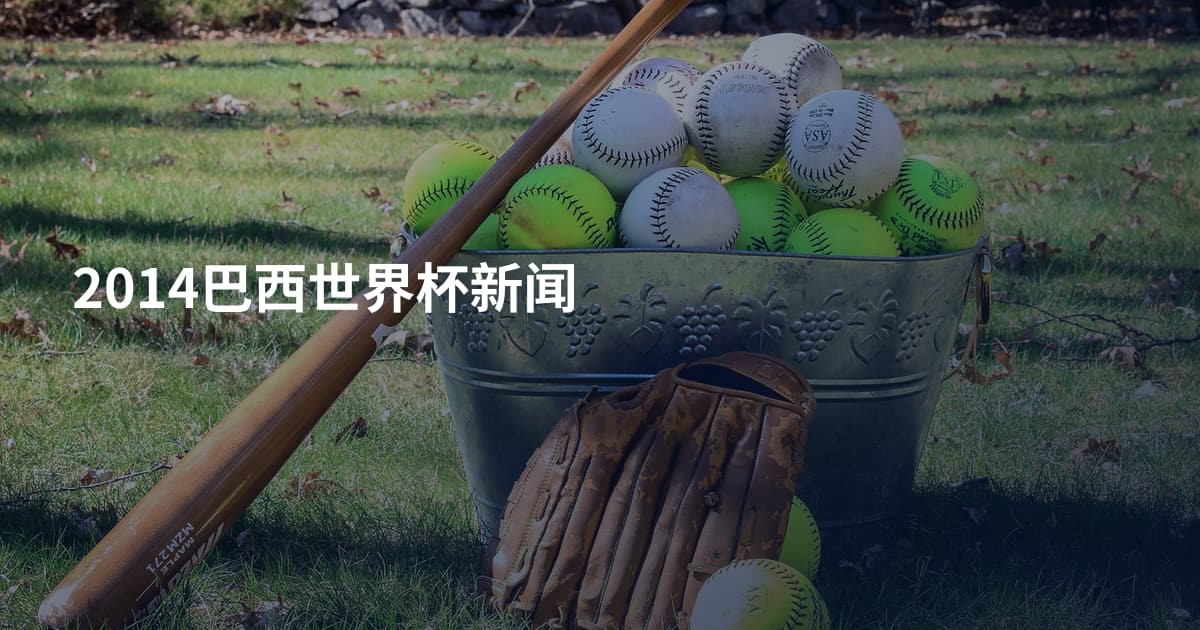 2014巴西世界杯新闻