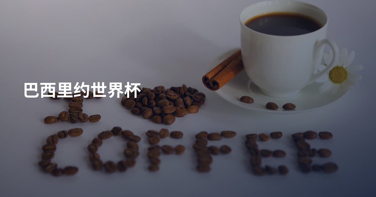 巴西里约世界杯
