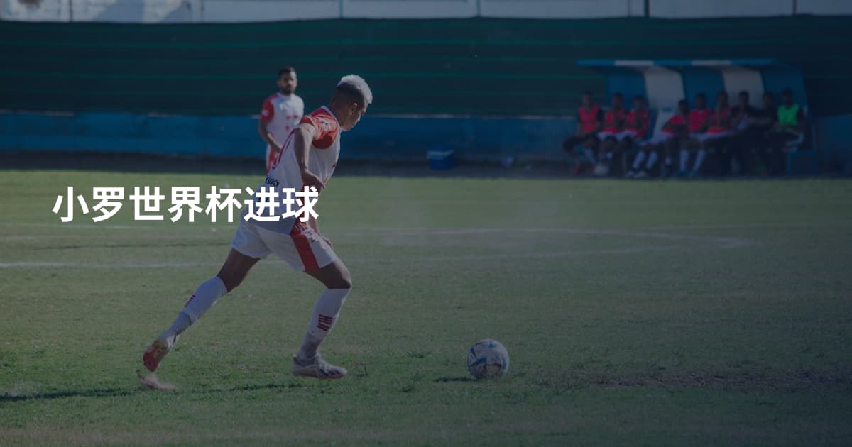 小罗世界杯进球