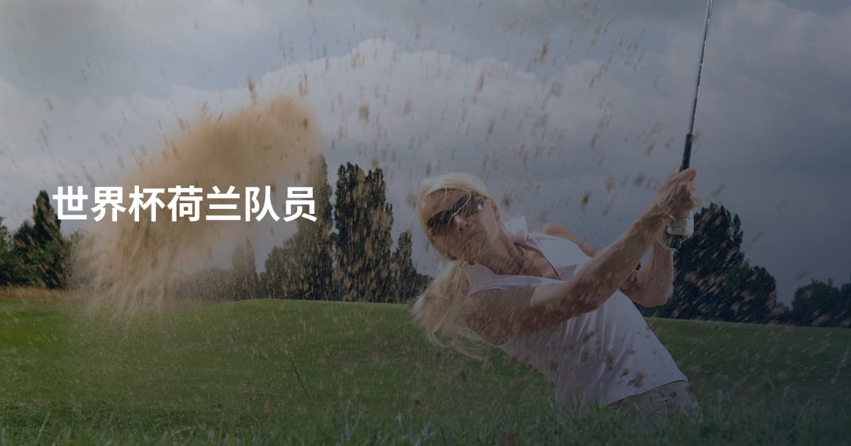 世界杯荷兰队员