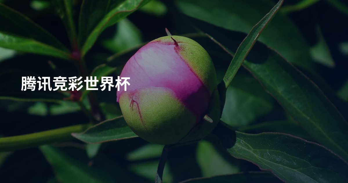 腾讯竞彩世界杯
