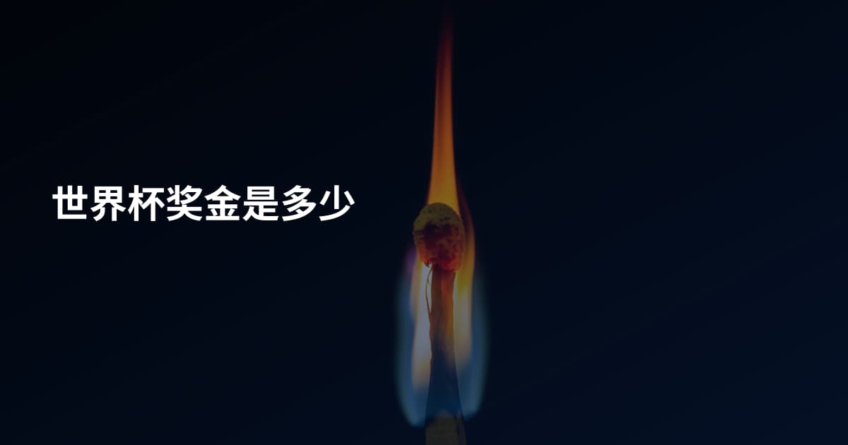 世界杯奖金是多少