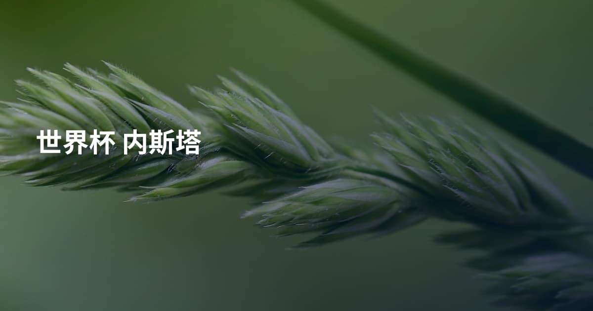 世界杯 内斯塔