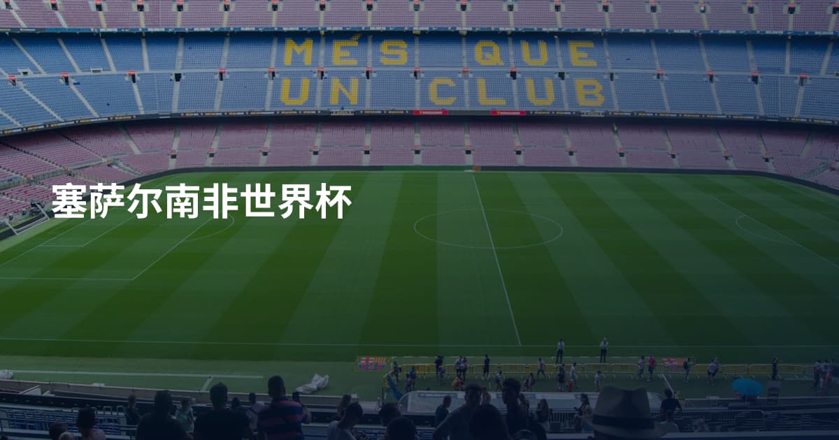 塞萨尔南非世界杯