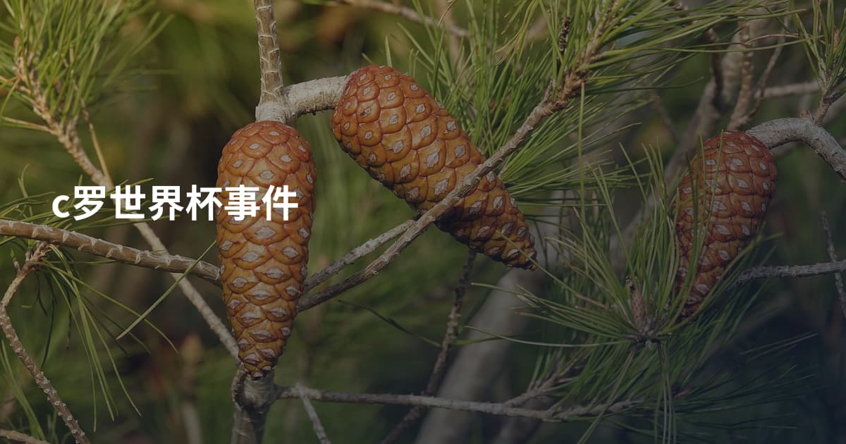c罗世界杯事件
