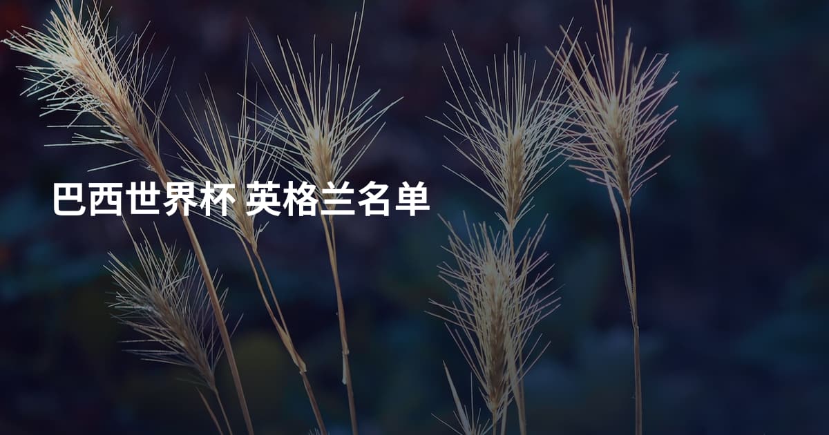 巴西世界杯 英格兰名单
