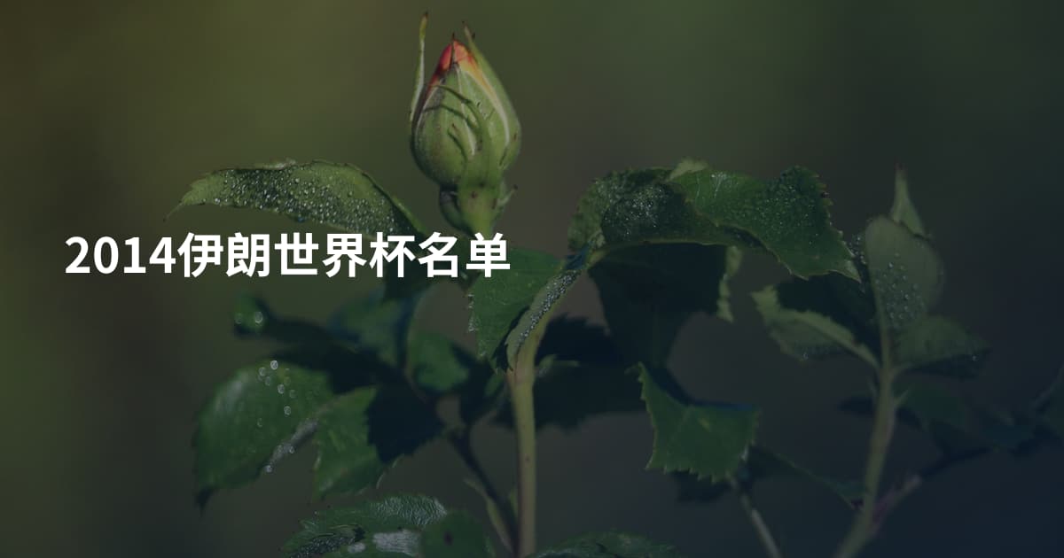 2014伊朗世界杯名单