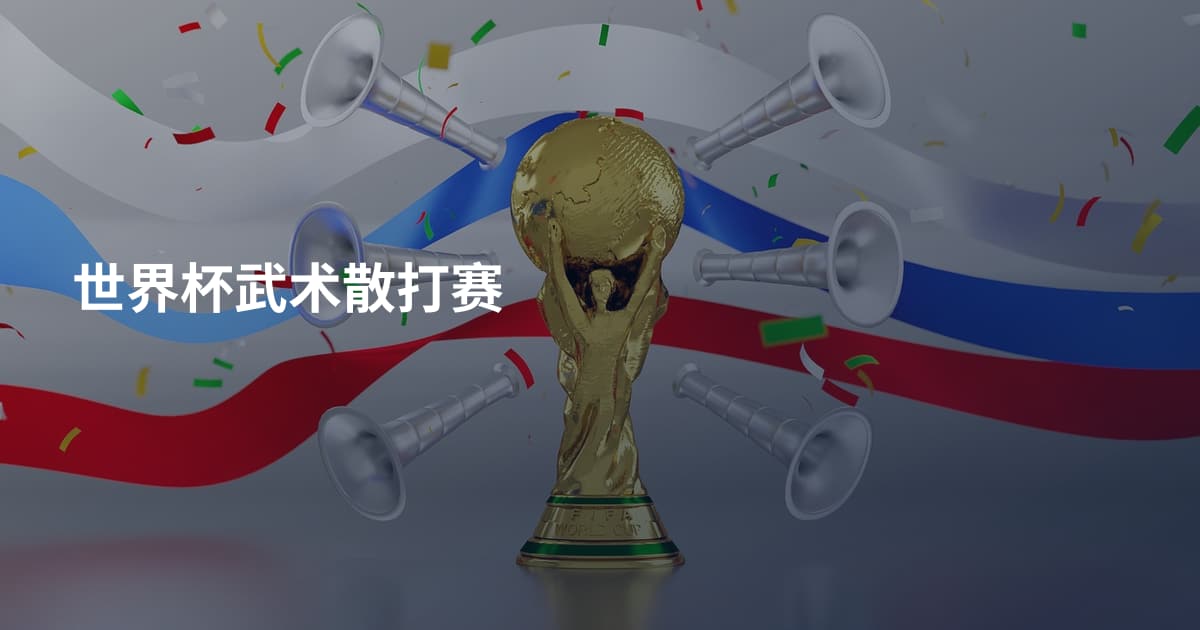 世界杯武术散打赛