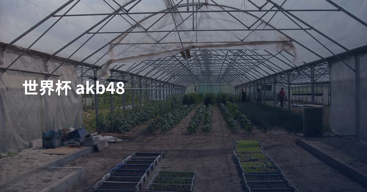 世界杯 akb48