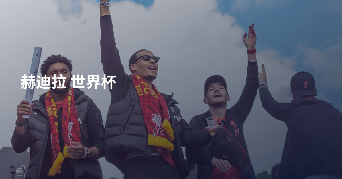 赫迪拉 世界杯