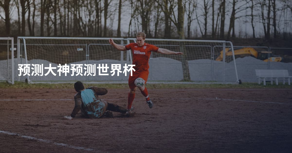 预测大神预测世界杯