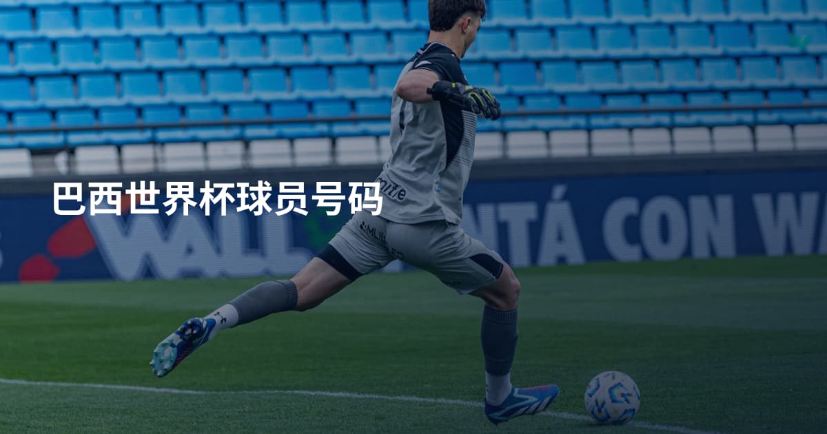 巴西世界杯球员号码