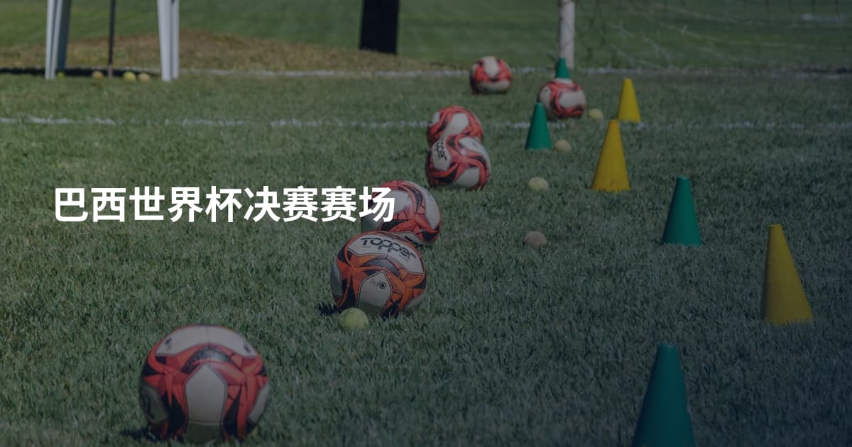 巴西世界杯决赛赛场