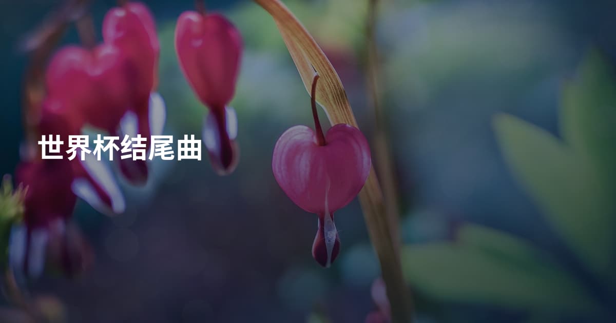 世界杯结尾曲