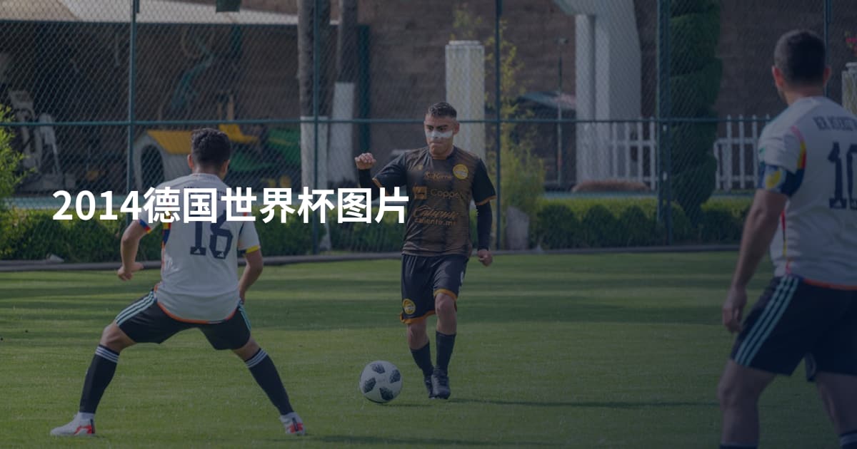 2014德国世界杯图片