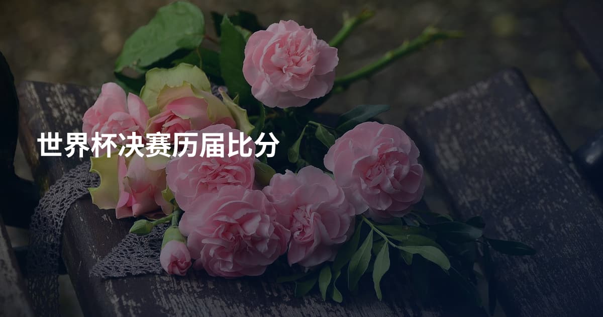 世界杯决赛历届比分