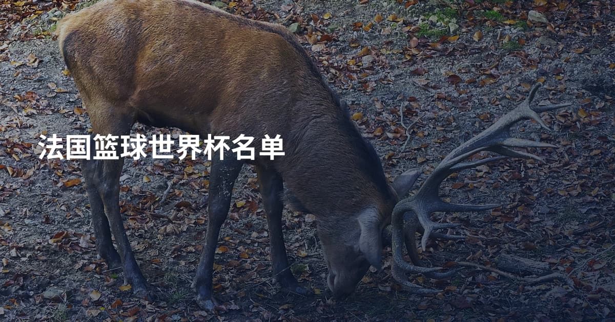 法国篮球世界杯名单