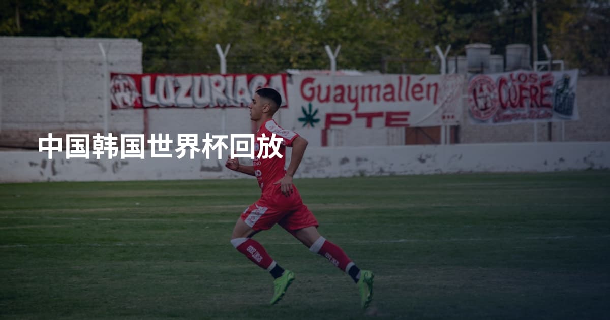 中国韩国世界杯回放