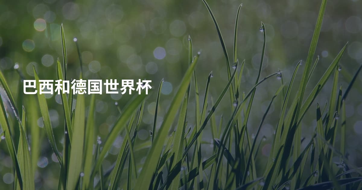 巴西和德国世界杯