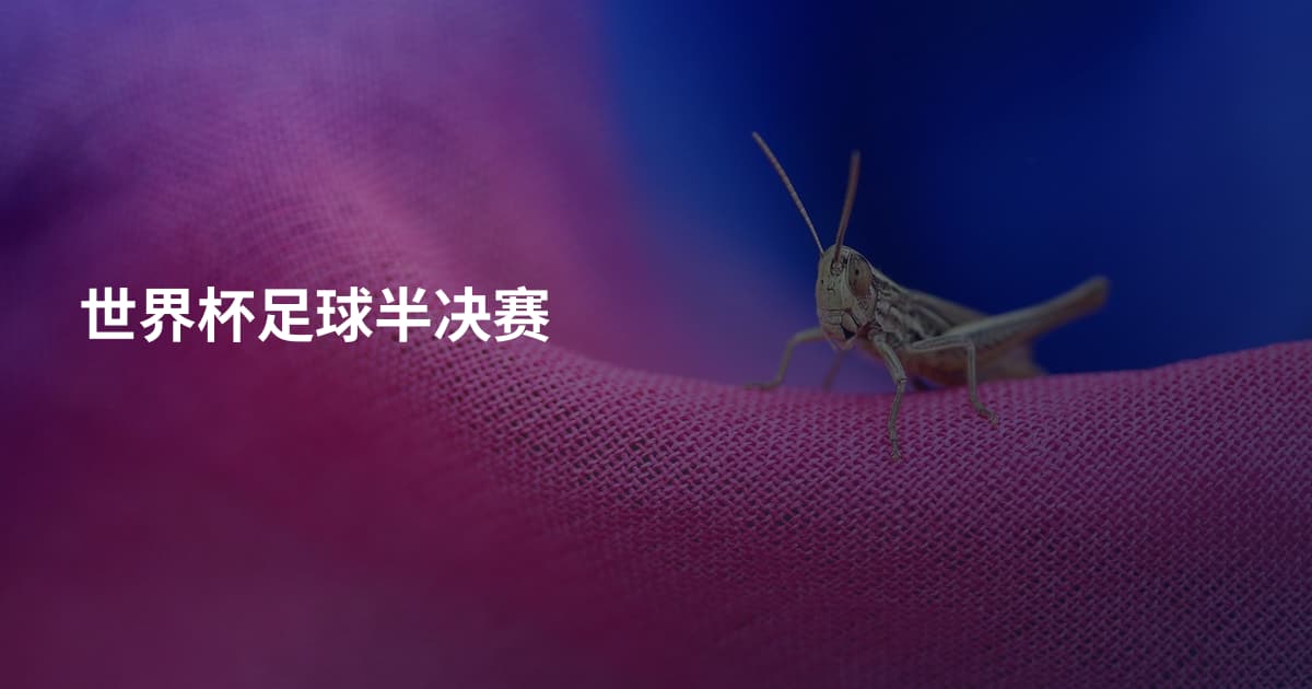 世界杯足球半决赛