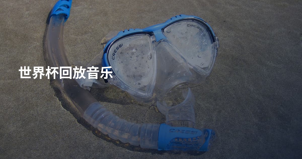 世界杯回放音乐