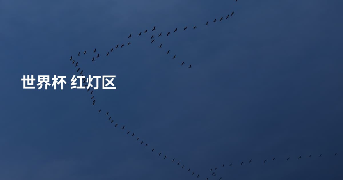 世界杯 红灯区