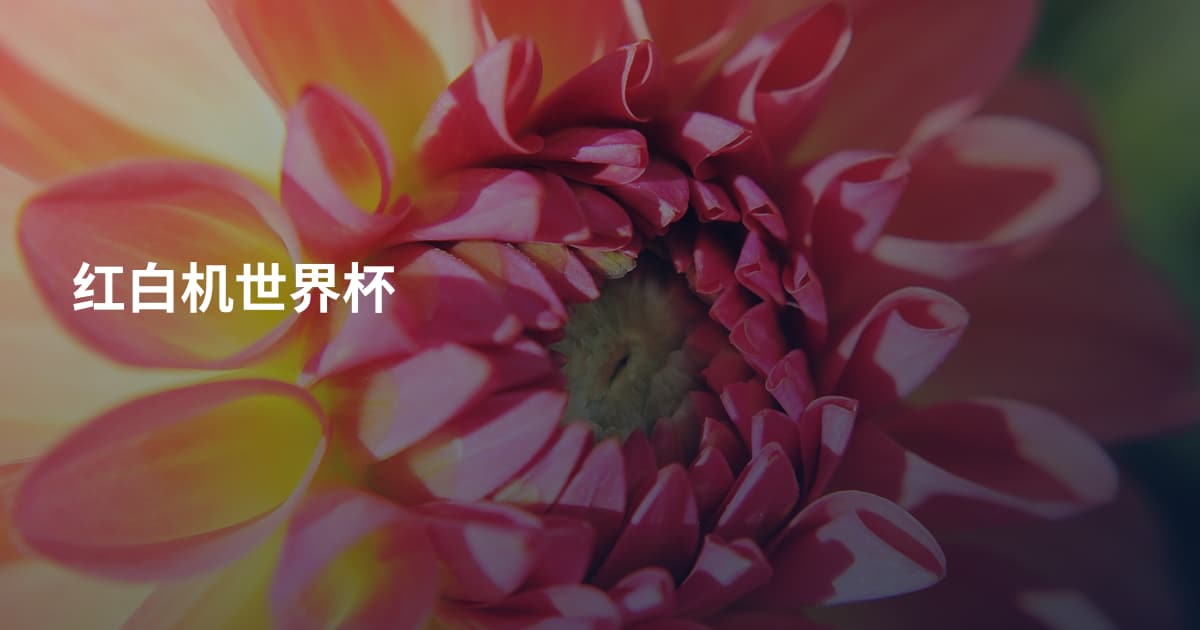 红白机世界杯