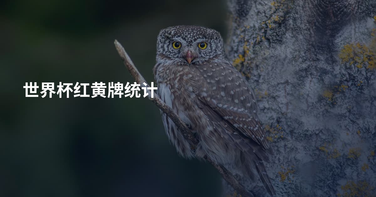 世界杯红黄牌统计