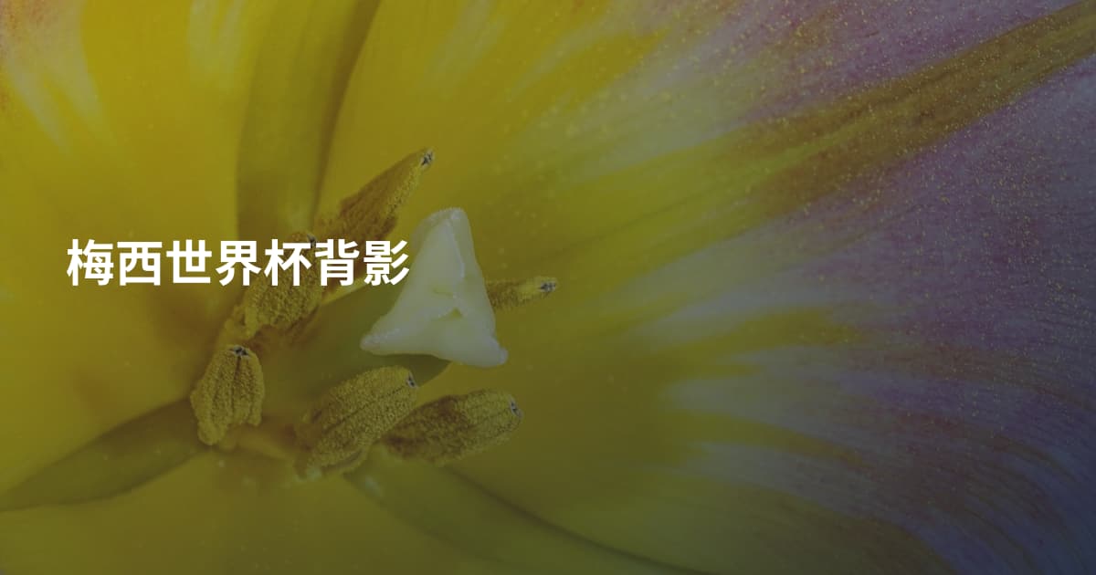 梅西世界杯背影