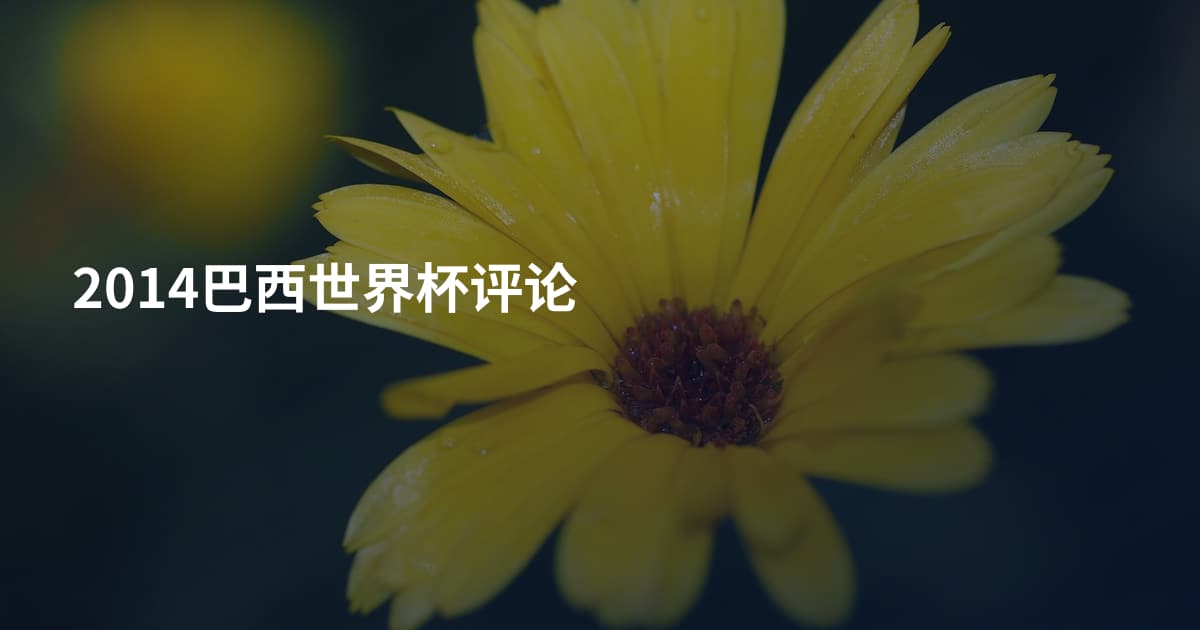2014巴西世界杯评论